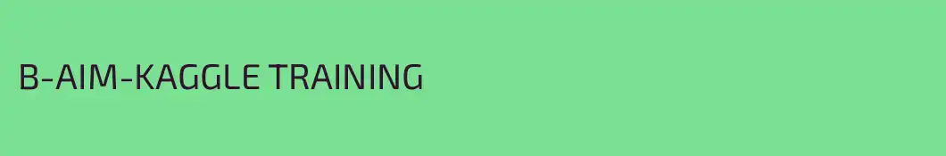 B-AIM-KAGGLE TRAINING
